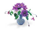 Clematis make beautiful cut flowers 